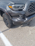 Insurance Free Car Racers