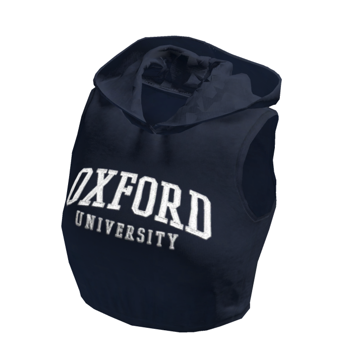 Blue Oxford University Crop Y2K Hoodie 