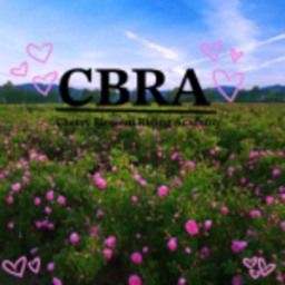 🌸Cherry Blossom Riding Academy!