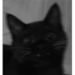 XxOceanVibezxX