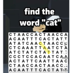 ANYTHING!!!!!