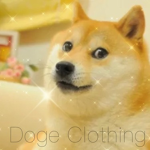 'Doge Clothing'