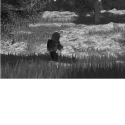 Finding Bigfoot: Classic