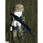 1ˢᵗ Minnesota Volunteer Infantry