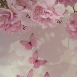 ✿