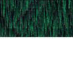 Ninja536714