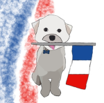 sky._the..best_.maltese