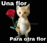 caca love amigas
