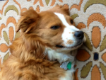Hi I am Riley Nice to meat you please join I am my