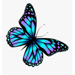 #butterfly troup
