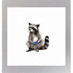 Raccoon Studios!