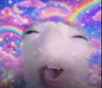 Xturtle crewX
