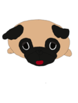 Puggers fan club