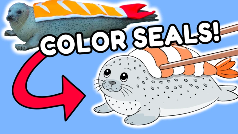 Seal Coloring Book [NEW PAGES]