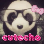 cutecho Group Thumbnail