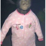 demonz!