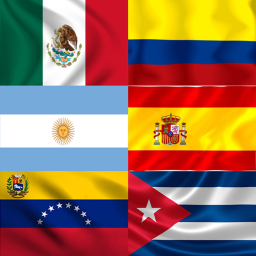 ✨ ¡Chat de voz en Español! ✨