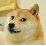 Le Doge FBI