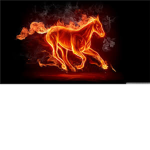FireStarter