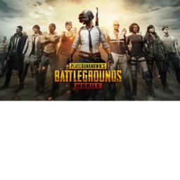 Reall PUBG
