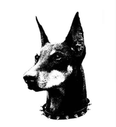 Group Icon