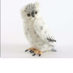 owl love club
