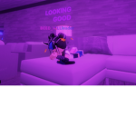 ~ S P R I N G T R A P ~