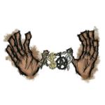 IL$