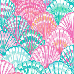 🐚