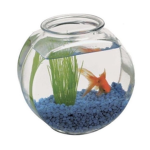FakeGoldfish