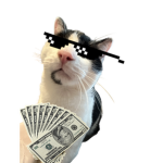 rexitz