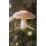 Mushroom Foodies:)