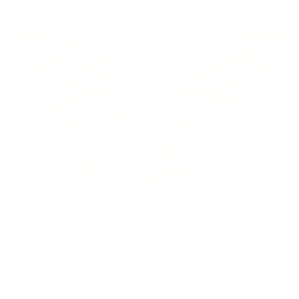 Glowing Butterfly Wings