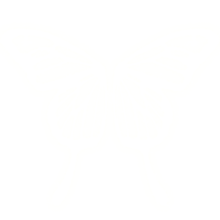 Glowing Butterfly Wings