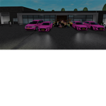 Touring Flamingo's