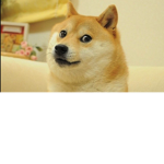 Doges United!!!!!