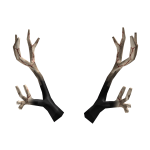 [🎃]Dreadthorn Antlers