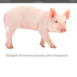The Offical Piggy Sqaud