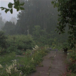 rain to stop