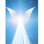 MajesticAngels club