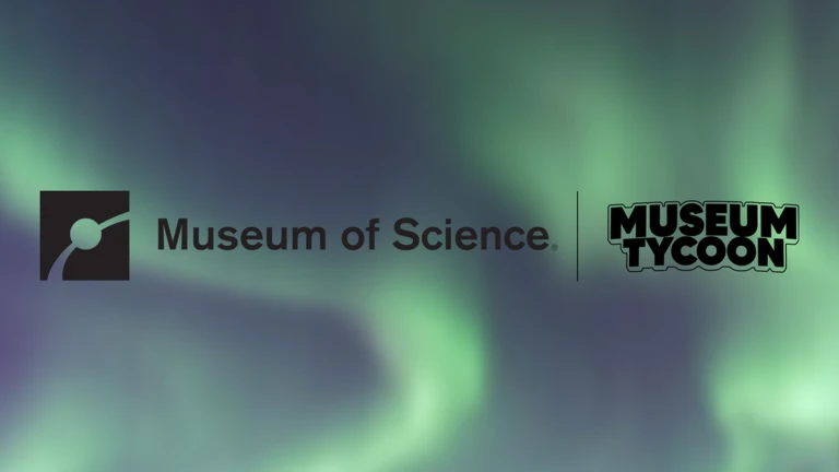 Northern Lights Event