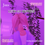 LETS GO PUPPIES!