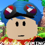 REAL ACE GAMING group
