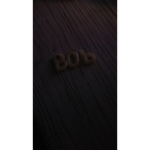Die roblox.gamer