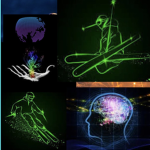 TheDigitalSkier Fan Group