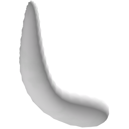 white kitty tail thumbnail