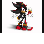 dfsshszg groupd