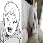 ChoiMinn