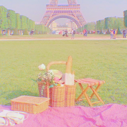 ✧･ﾟ: *✧･ﾟ:*