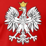 The Polish Fleet